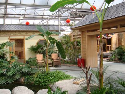專業設計 施工各種鋼結構智能溫室、鋼結構室內園林景觀生態園工程、網架花卉溫室工程