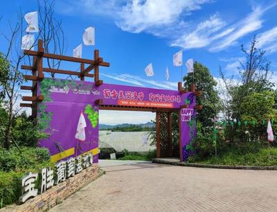 把課堂搬到泥土里，龍泉驛生態(tài)園打造校外勞動教育基地